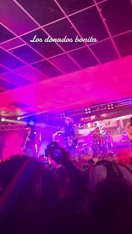 Los dorados Bonita #losdoradosoficial #escapeballroom #bailesdeGrenvillesc #seprendioelcerro🔥💯🤠 