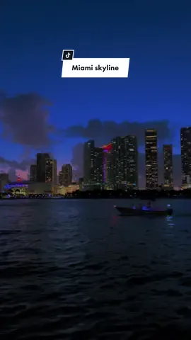 Miami skyline 🖤🫶🏻 Insta: bergmannjessica_  #miami #miamilife #miamivibes #citylife #citycaptures #cityskylines #cityvibes #nightlife #citynight #miamiliving #miamibeach #miamilifestyle #citygirl 