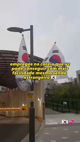 empregos na coreia do para estrangeiro #kpop #estrangeiro #coreia #trabalho #bts #kpoo #trabalhar #fy #fy #fy #fy #fy #fy #fy boa noite 🌙 