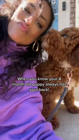 He always has my back 💪🏽🐶 #puppy #puppylove #puppytiktok #newpuppyowner #newpuppymom #newdogmom #puppylife #puppytok #dogmomsoftiktok #microminigoldendoodle #microminigoldendoodlesoftiktok #goldendoodlesoftiktok #puppydog #goldendoodlepuppy #fyp #fypシ #dogsoftiktok 