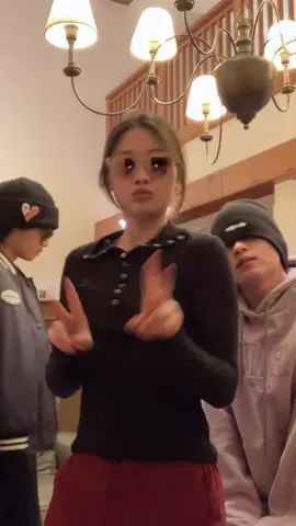 브이