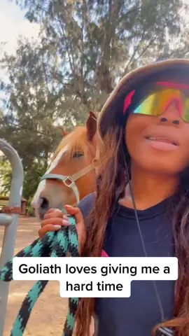 This nearly 3000 pound horse loves goving ne a hard time. 😭 Happy Sunday, yall!  #southflorida #blackfarmers #horsegirl #browardcounty954🔥🌴 #pinklife #blackgirlluxury #horsesoftiktok #horselife #blackfarmers #blackfarmgirl #giddyup #fyp #fypage 