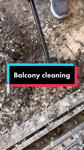 Are your balconies covered in pigeon feces? Book now at happycleanllc.com or 305-200-8122 #pigeon #miami #cleaning #balconycleaning #clean #cleaninghacks #miamibeach 