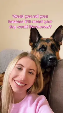 Guilty 🤣 #germanshepherdmum #germanshepherdsarethebest #germansheps #bigdogsarebetter #gsdmama 