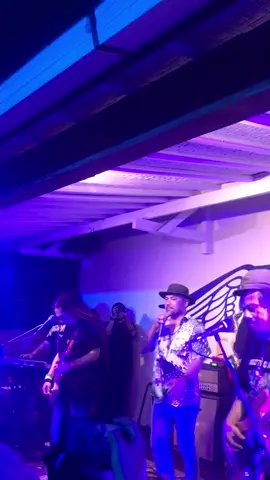 Coconutreez - Kembali #coconutreez #stevencoconuttreez #stevenjam #kembali #richarddgilis #reggae #music #fyp 