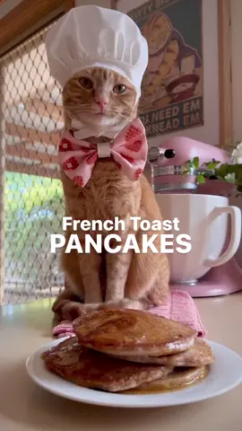 Pancakes + French Toast = best breakfast ever! 😻 Purrfect for Pancake Tuesday aka Mardi Gras this week! 🥞💕 Pancakes: 🥞1 cup flour 🥞2 tbsp sugar 🥞1 tsp cinnamon 🥞1 tsp baking powder 🥞1/2 tsp baking soda 🥞1/4 tsp salt 🥞1 cup milk  🥞1 egg, beaten 🥞2 tbsp vegetable oil 🥞1 tsp vanilla extract French toast custard: 🥚3 eggs, beaten 🥚1/2 cup milk 🥚1/4 teaspoon ground cinnamon 🥚Butter for frying 🥚Syrup & butter for serving  1. Add flour, sugar, cinnamon, baking powder & soda, and salt to a large bowl and stir to combine. In a separate bowl, whisk milk, egg, oil, and vanilla together. Pour into the dry ingredients and Mixy Mix until smooth.  2. In a shallow bowl beat eggs, milk, and cinnamon for the French toast custard and set aside.  3. Heat a nonstick pan over medium high heat and lightly butter the base. Cook 8 small pancakes until golden brown, flipping when bubbles appear on the surface. Set pancakes aside. Keep the pan heated and add extra butter to cover the bottom. 4. Dip one pancake at a time in the custard mixture, then fry in the hot butter until golden on each side. Repeat until all pancakes have been turned into French toast, top with butter & syrup and enjoy! 💖 #mardigras #shrovetuesday #pancakeday #pancakes #frenchtoast #breakfast #cutecat #neworleans #delicious #adorable #catlover #catchef #bakingwithcats 