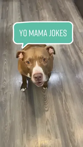 More yo mama jokes