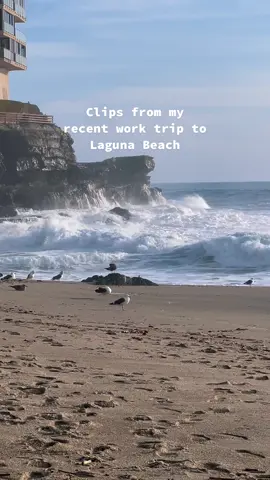 🌊☀️ there’s something about an ocean that calms my soul #ocean #lagunabeach #beach #laguna #lagunabeachcalifornia #nature #zen #zenmoment #beachtowns #mid20s #late20s 