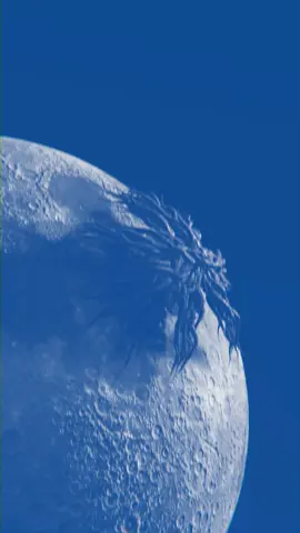 Have you ever seen a creature on the moon?  #creature  #moon #monster