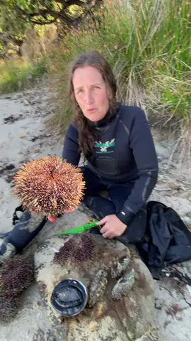 #fyp #foryou #seaurchin #kina #newzealand 