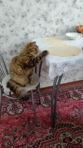 #щаскакписдану #пон #😐