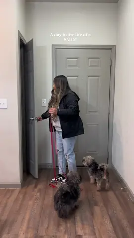 A day in the life of a stay at home mom ✨ My husband woke up and said “you need a break, let me take mila out and you can get work done” 🫶🏼  I had  emails to respond to and content to film. Appreciate how supportive of that he is 💗 Ended the night with food and kareoke with friends and family 🎤🎵🎶 #ditl #ditlofamom #ditlvlog #ditlsahm #ditlofasahm #stayathomemom #stayathomemomlife #dayinmylife #dayinthelife #dayinthelifevlog #MomsofTikTok #momlife #momtok #momcontent #firsttimemom #firsttimemama #momdayinthelife #sahmdayinthelife #sahmlife #sahm #sahmsoftiktok #sahmtok #sahmofone #momofone #toddlermom #morningroutine #morningvlog #realisticmorningroutine #mommorningroutine #sahmmorningroutine #Lifestyle #lifestyleblogger #latinamom #mamamexicana #mexicanmom #hispanicmoms #foryou #fyp #dailyvlog #DailyRoutine #babyfreeday #realisticmorningroutine #dallas #dallasmom #dallasmoms #toddlermomlife #viral #dayinlife #morningvlog #slowmorning   Slow morning Morning routine Child free routine  Daily vlog Realistic day in the life Day in my life  Day in the life Stay at home mom Toddler mom First time mom