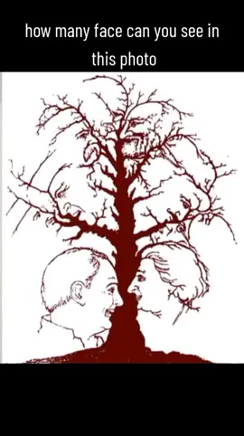 how many face can you see in this photo..?