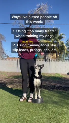 I can’t win I guess #DogTraining #positivereinforcement #balancedtraining 