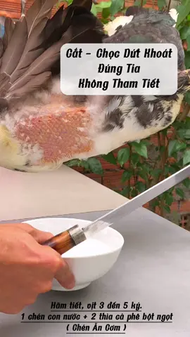 Trả lời @anh chín mốt Bác có thể áp dụng cách làm này nhé. Đem công thức này ra mắt bố vợ thì hết bài. Hãm tiết bằng mì chính ( bột ngọt ) chỉ cần lấy tiết chuẩn là auto thành công, mà màu tiết lại đẹp nhé. Cách Hãm Tiết Canh Vịt #fypシ #bếpbốkhá #xuhuong #LearnOnTikTok #trending #thinhhanhxuhuong #nấuăncùngtiktok #ẩmthựcviệtnam #yeubeprecipe #tietcanhvit #tietcanh #yeubep #