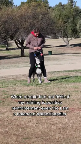 Hot take: If positive punishment makes up the majority of your training, you’re not a balanced trainer 🤷‍♀️ #positivereinforcement #DogTraining #ecollars #balanceddogtraining 