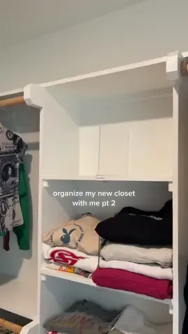 Replying to @vetemnt these shelf dividers are game changers #amazonfinds #amazonhome #organizewithme #closetorganization 