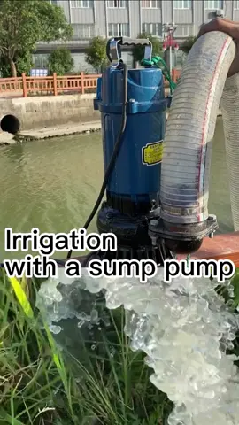 Transform your garden into an oasis with an powerful submersible pumps.#irrigation #watertransfer #Outdoors #pumping #solutions #gardening
