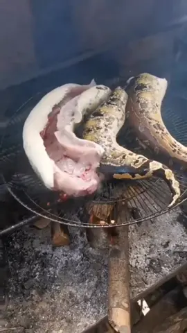 bakar-bakar#fyp #fypシ #bakarular #sateular #sateular🐍🐍🐍 #enakbanget 