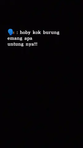 #CapCut SOLD OUT maseehh. kita kasih paham 🤗😁 #fyp #muraibatuindonesia #muraibatugacor #muraibatujuara #gantanganmurai #gantangburung #fypdong 