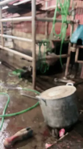 Dắt chỗ buôn . Buồn chỗ bán