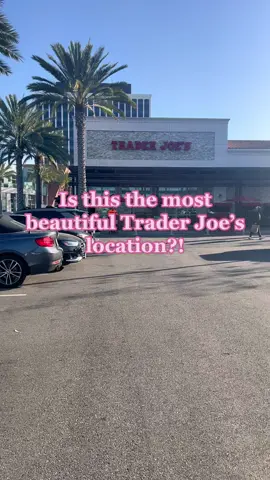 This is very therapeutic on a Monday morning. Trader Joe is showing off… #mondaymorning #hotgirlwalk #traderjoes #losangeles #beach 