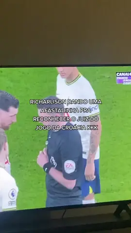 A cara dele é a melhor KKKKK #foryou  #fy  #richarlison  #pombo  #tottenham  #🇧🇷  #juizladrao  #worldcup #naoflopaporfavor #worldcup2022 