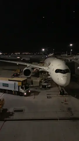 Airport duties at night 😍✨  cr: Christopher Schultz #airportatnight #airportworker #airportduty #airplaneatnight #fyp #thaiairways #airbuslovers #aviation #aviationtok 