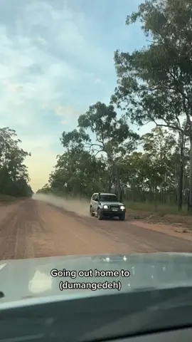 Bush is everything 🫶🏾✨ #fyp #bushlife #kolobidahdah #outback #northernterritory #nativetiktok #indiginous #abouriginal🖤💛❤️ #blakfullatiktoks