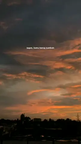 Tumbuhlah tumbuh di manapun kamu berada k#KindnessWord #fyp #quotes #dailyquotes #statuswhatsapp #remajakekinian #storywa #yurayunita #tuturbatin 