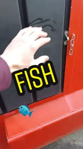 Found fish dumpster diving !! Would you eat it ? 🤔   #dumpsterdiveking #dumpsterdiving #dumpsterdive #fyp #swedishfish #fish 