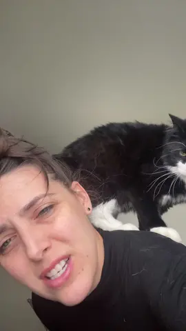 #catsoftiktok #tuxedocatsoftiktok #dailylife #MentalHealth #imcrazybutyoulikethat 