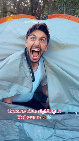 Don’t coke the bear……TY @Adam Milardovic #cocainebear #fyp #skit #foryou  #melbourne  #funny #adventure #fypシ 