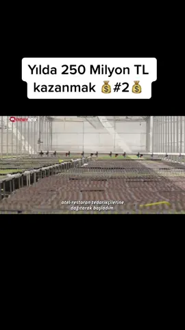 Kendi işini yapmayı düşündün mü ? #girişimci #şimdinasıl #dahaiyi #biliyorum #basari #hikaye #para #motivasyonvideolari 