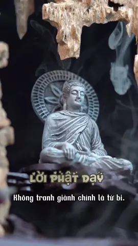 Giác ngộ những lời Phật dạy 🙏🙏🙏. Nam Mô Bổn Sư Thích Ca Mâu Ni Phật 🙏 Nam Mô A Di Đà Phật 🙏 #nammoadidaphat #nammobonsuthichcamauniphat #phatphapvadoisong #phatphapnhiemmau #phatphapvobien #phatphapdaitudaibi #giacngo #phatphap #tamhuongphat #loiphatday #phattaitam #phatgiao 
