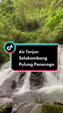 wajib kesini buat yang suka menikmati air terjun 📍Air Terjun Selo Kambang, Pulung Ponorogo #ponorogo #ponorogopictures #wisataponorogo #kotareog #pulung 