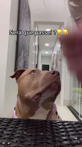 Reprovei 😂 #foryou#fy#comedia#tbt#desafio#trolagem#AnimaisNoTikTok#humor#viral#foryoupage#memes#meme#tiktok#video#challenge#tiktoker#vaiprofy#fyy #fyyyyyyyyyyyyyyyy 