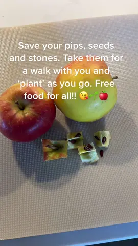 These are ALL British Native species so they’re fine. It’s not illegal to ‘plant’ fruit and veg in open spaces, I’ve checked. These were all from produce bought from the supermarket so the seeds would be in landfill or in my garden anyway 🤷‍♀️. Hopefully folk and wildlife will enjoy some free food in the impending shortage. #foodshortage #hydroponichomestead #ukfoodshortage #homegrown #veggrowers 