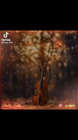 #tamilsong #tamilbgm #viollin #sadbgmtamil #violinlover 