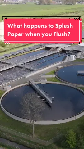 Ever wondered what happens to your Splesh paper after you’ve flushed? Our paper is 100% recyclable and biodegradable! #splesh #spleshtoiletroll #splesh60 #biodegradablepaper #biodegradabletoilet #60rolls #toiletpaper #toiletpaperchallenge #toilettok 