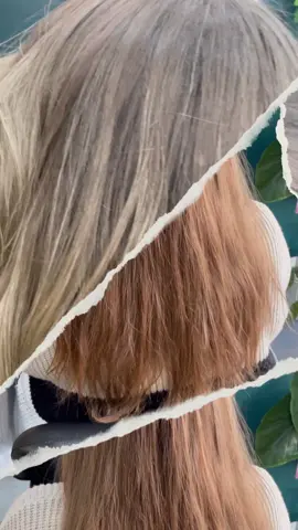 Stylists Dream to work on virgin hair!  Honey blonde balayage with lots of depth & dimensions:)  : ; ##for##foryou##foryoupage##kevinmirphycolorme##flanxhairandbeauty##flanx_##tiktok##islington##angelislington##islingtonexperience##hairday##hair##hairstyle##haircut