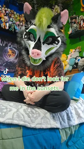 #CapCut  I hope im the 1st to do this 😭#AXERatioChallenge #furriesoftiktok #furrytiktok #furryfandom #fursuit #furries #dollcollector #urmom #capcut_edit 