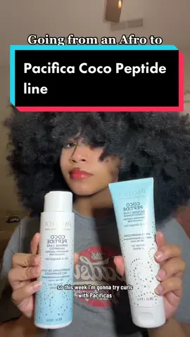 Turning my fro into curls with @pacificabeauty  Coco Peptide line! I was getting a lil bored of the fro so I wanted to try curls for the first time in a while! @ultabeauty  #pacificabeauty #cocopeptide #ad #naturalhair #curls #afrohair 