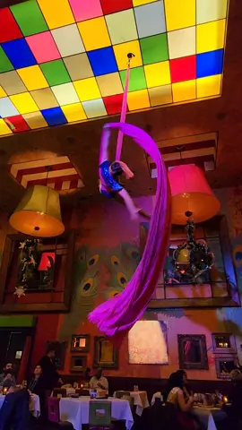 professional attention seeker 🤘✨ #ilovemyjob #aerialistsoftiktok #aerialsilks #circusgirl 