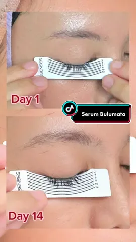 14 Hari Pake Serum ini bulumata aku jadi panjang + kuat banget gak gampang rontok #esensescosmetic #lashbrowserum #serumbulumataalis #eyelevelup 