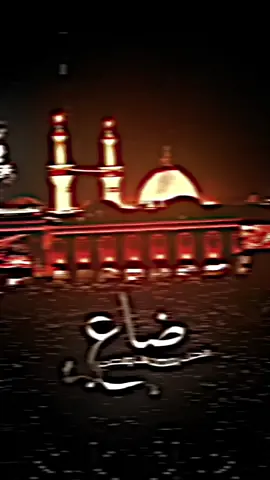 لو ما صايتك وعيون لحسين❤️#foryoupage #viralvideo #اهل_الكساء #تصاميم_حسينيه #امام_العباس #viral #fypシ #المصمم_مود 