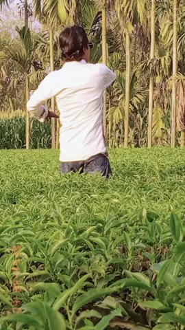 #foryou #foryou #sajedulahammed #viralvideo #foryou #ovinoy Sajedul 