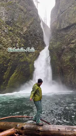 Perfect rainy day Pacific Northwest vibes at this Oregon waterfall  Why is it perfect for rainy days? Well it’s short and sweet. Beautiful! And in the rain and snow melt little waterfall drifts appear all along the canyon walls that are not otherwise there.  📍 Wahclella Falls is one of the MUST DO hikes of the Columbia River gorge. A sort of mini Eagle Creek without the distance. One of the more interesting falls of the gorge where the multiple drops come from a hidden, narrow gorge into a large amphitheater.  🗺️ 1.9 miles Out & back  🚙 Just 45 minutes from Portland, Or. ✅ Pro Tip: Go during a rain storm  🥾 Live adventurously  - Jess  #waterfallsoftiktok  #waterfalls #oregonwaterfalls #chasingwaterfalls #waterfallhike #oregonhikes #pnwhikes #waterfallsfordays #AXERatioChallenge 