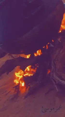 درتك  وين  ما  يطولكش طايل  :: وقلت  إرتحت  ع الغالي  إرتاح   لقيت وين ما نغفى تحايـــــل  :: بسرعة محت وين ما الريح ماح#رفاقه_عمر #اكسبلور_تيك_توك #هشتاقاتي_الترند_المشهور #CapCut #CapCut #اكسبلورر #وادي #اليمن #النجع_2022💚 #الرجال #الخليج_العربي_اردن_عمان_مصر_تونس_المغرب #