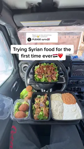 Replying to @jan-tps-street-free-agent1😁 The baba ghanouj hits different😍😍🇸🇾